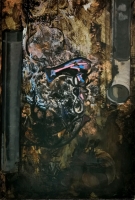 cm 81x116 oil on canvas